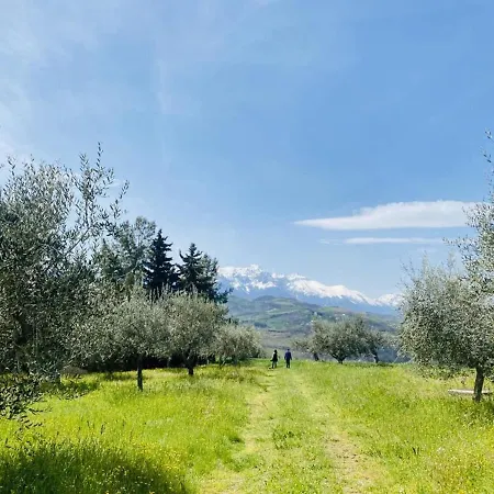 Beautiful Mountain View In *